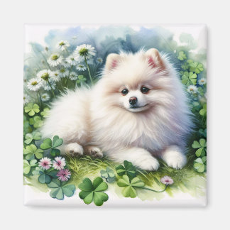 Hundeschleife mit weißem Spitz Magnet