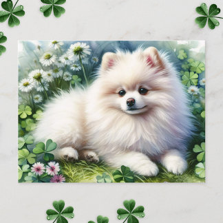 Hundeschleife mit weißem Spitz Postkarte