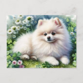 Hundeschleife mit weißem Spitz Postkarte (Vorderseite)