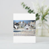 Hundeschlitten Postkarte (Stehend Vorderseite)