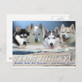 Hundeschlitten Postkarte (Vorne/Hinten)