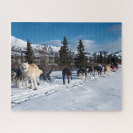 Hundeschlitten-Rennen Alaskas heiseres Puzzle