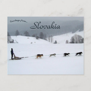 Hundeschlitten-Team im Winter in der Slowakei Postkarte