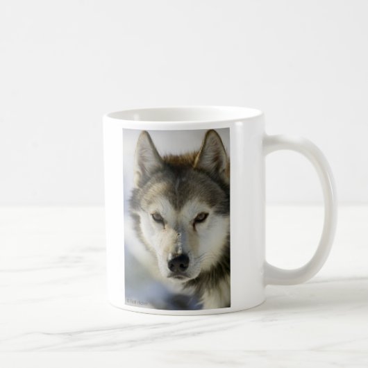 HUNDEschlittenhund Kaffeetasse (Rechts)