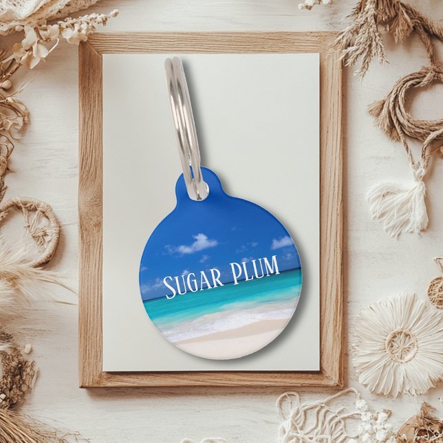 Hundeschlittenkatze Lost Id Haustiermarke (Von Creator hochgeladen)