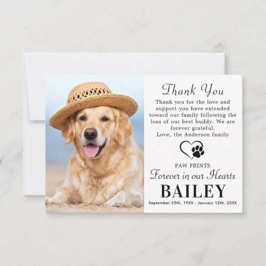 Hundeschlittenuntergang Modernes Foto Beileid Dankeskarte (Vorderseite)