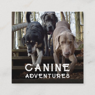 Hundeschlittenwalker und Hundeschutzabenteuer Squa Quadratische Visitenkarte