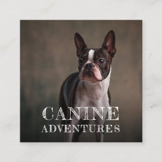 Hundeschlittenwalker und Hundeschutzabenteuer Squa Quadratische Visitenkarte (Vorderseite)