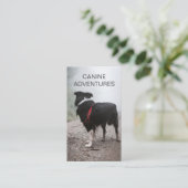 Hundeschlittenwanderungen und Haustierbetreuung Visitenkarte (Stehend Vorderseite)