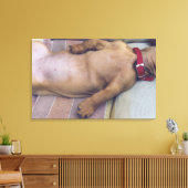 Hundeschmerz Leinwanddruck (Insitu (Wohnzimmer))