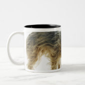 Hundeschnüffelnnachbaryard geschossen im Studio Zweifarbige Tasse (Links)