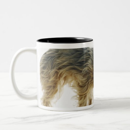 Hundeschnüffelnnachbaryard geschossen im Studio Zweifarbige Tasse (Links)