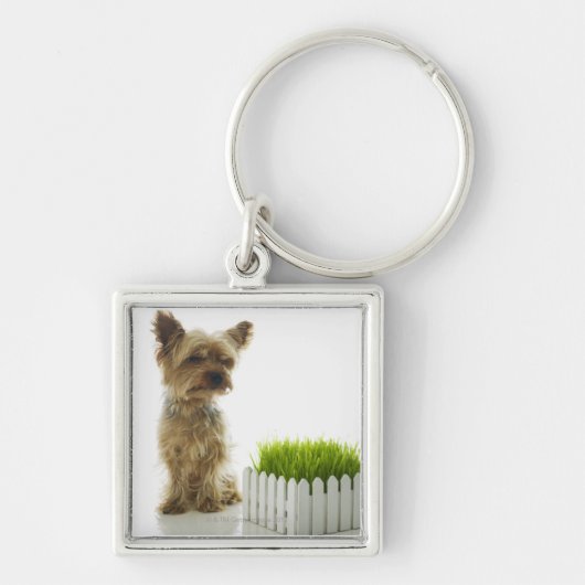 Hundeschnüffelnnachbaryard Schlüsselanhänger (Vorne)