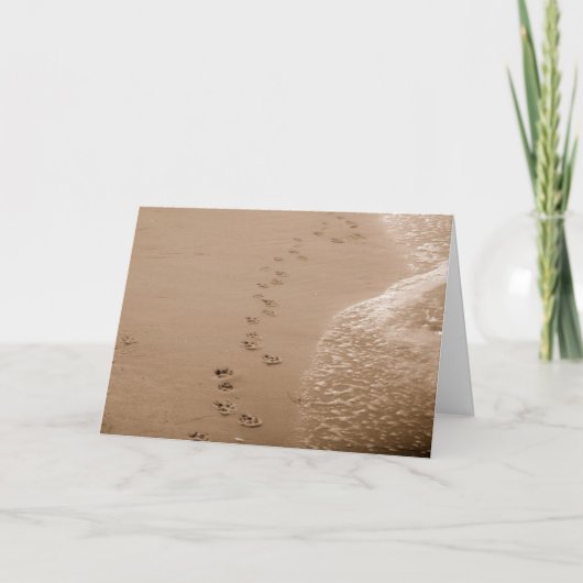 Hundeschritte in der Sand Sympathy Card Karte (Vorderseite)