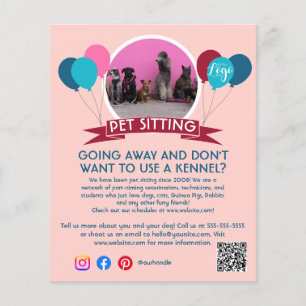 Hundeschuhling Haustier Pflegedienst Flyer