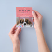 Hundeschuhling Haustier Pflegedienst Flyer (Gruppe)