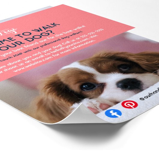 Hundeschuhling Haustier Pflegedienst Flyer Poster (Ecke)