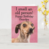 Hundeschutzkarte Karte (Gelbe Blume)