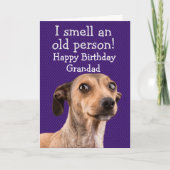 Hundeschutzkarte Karte (Vorderseite)