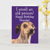 Hundeschutzkarte Karte (Gelbe Blume)