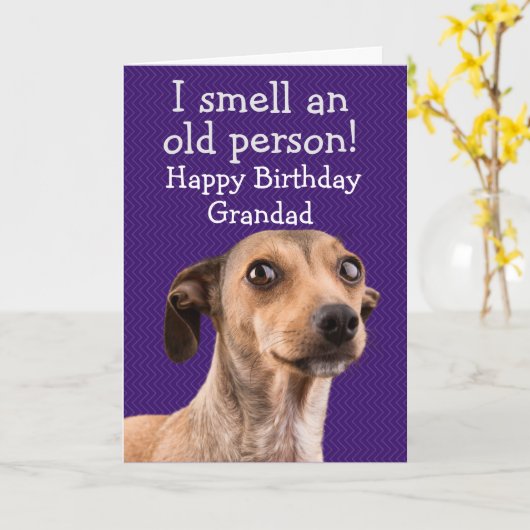 Hundeschutzkarte Karte (Gelbe Blume)