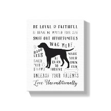 Hundeschweife Inspiration Hausregeln