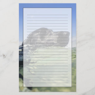 Hundeschwimmen im Wasser Briefpapier