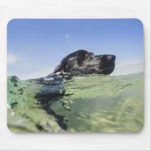 Hundeschwimmen im Wasser Mousepad