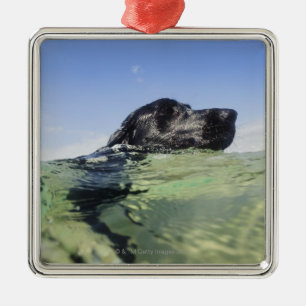 Hundeschwimmen im Wasser Ornament Aus Metall