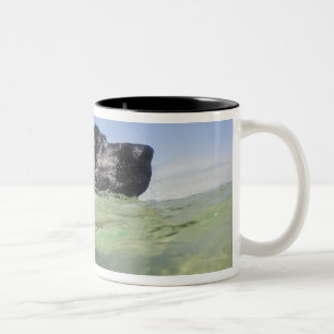 Hundeschwimmen im Wasser Zweifarbige Tasse