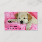 Hundesitze Visitenkarte (Rückseite)