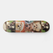 HundeSkateboard Skateboard (Horizontal)