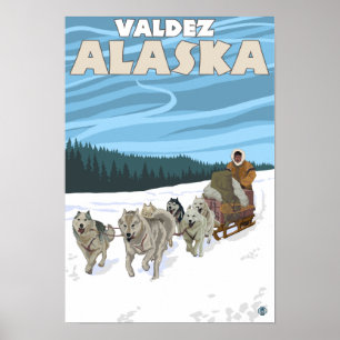 HundeSledding Szene - Valdez, Alaska Poster