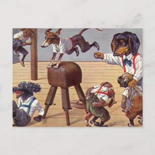 Hundesportunterricht Postkarte