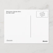 Hundestatue im Schnee Postkarte (Rückseite)