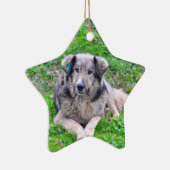 Hundesternverzierung Keramikornament (Rechts)