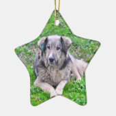 Hundesternverzierung Keramikornament (Links)