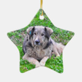 Hundesternverzierung Keramikornament (Hinten)