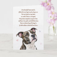 Hundesympathie Pitbull Pitty Verlust Spirituell