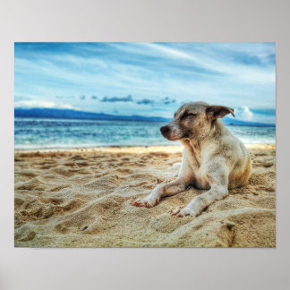 Hundetag am Strand, am Ozean und in der Sonne Poster