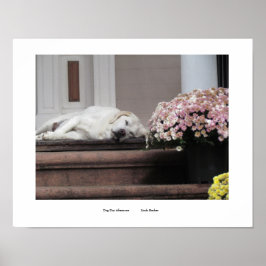 Hundetag Nachmittag Drucken Poster