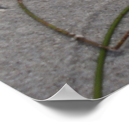 Hundetag Nachmittag Poster (Ecke)