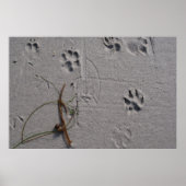 Hundetag Nachmittag Poster (Vorne)