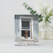 Hundetag Postscard Postkarte (Stehend Vorderseite)