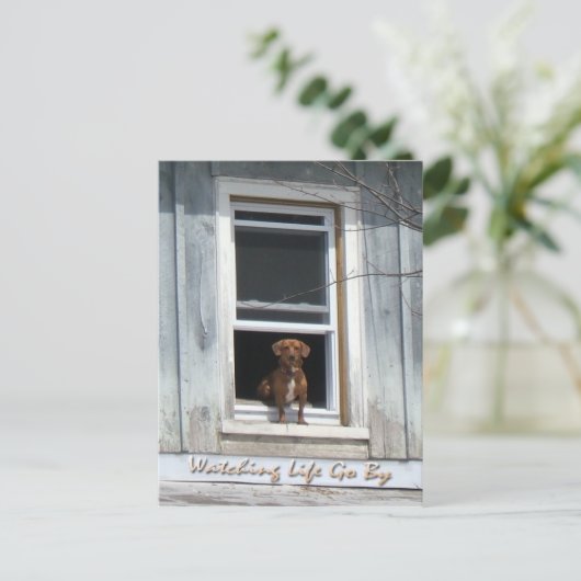 Hundetag Postscard Postkarte (Stehend Vorderseite)