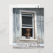 Hundetag Postscard Postkarte (Vorne/Hinten)