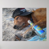 Hundetage Poster (Vorne)