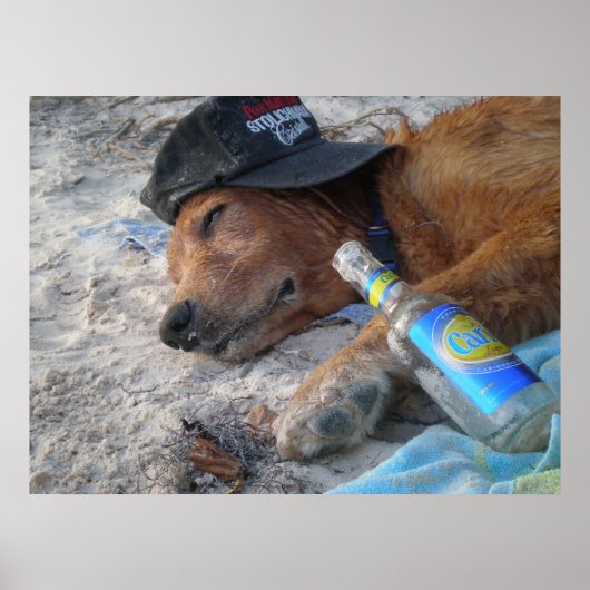 Hundetage Poster (Vorne)