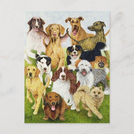 Hundetage Postkarte (Vorderseite)