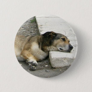 Hundetaste, anpassen button